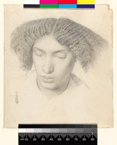 Portrait of Mrs Fanny C.h.n, 1859 by Simeon Solomon